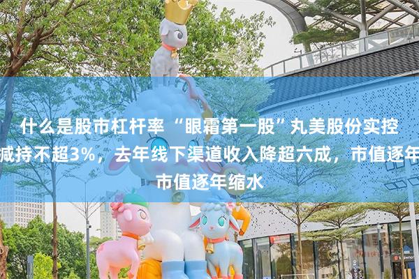 什么是股市杠杆率 “眼霜第一股”丸美股份实控人拟减持不超3%，去年线下渠道收入降超六成，市值逐年缩水