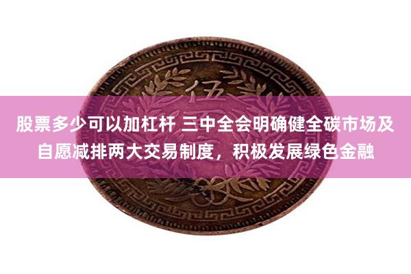 股票多少可以加杠杆 三中全会明确健全碳市场及自愿减排两大交易制度，积极发展绿色金融