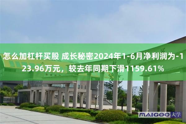 怎么加杠杆买股 成长秘密2024年1-6月净利润为-123.96万元，较去年同期下滑1159.61%