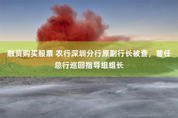 融资购买股票 农行深圳分行原副行长被查，曾任总行巡回指导组组长