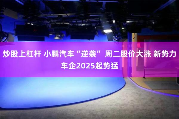 炒股上杠杆 小鹏汽车“逆袭” 周二股价大涨 新势力车企2025起势猛