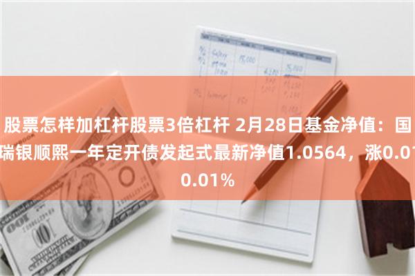 股票怎样加杠杆股票3倍杠杆 2月28日基金净值：国投瑞银顺熙一年定开债发起式最新净值1.0564，涨0.01%