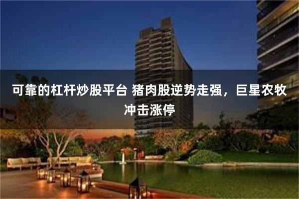 可靠的杠杆炒股平台 猪肉股逆势走强，巨星农牧冲击涨停